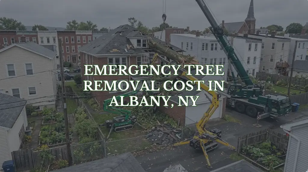 Crane or spider lift actively removing a large storm