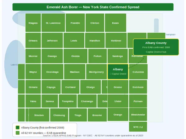 USDA APHIS map showing emerald ash borer spread in New York State including Albany County.