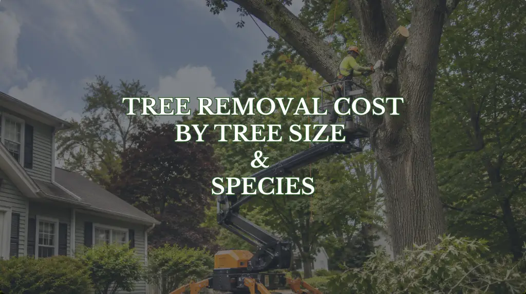 Tree removal cost by size and species in Albany NY — tracked lift removing large oak
